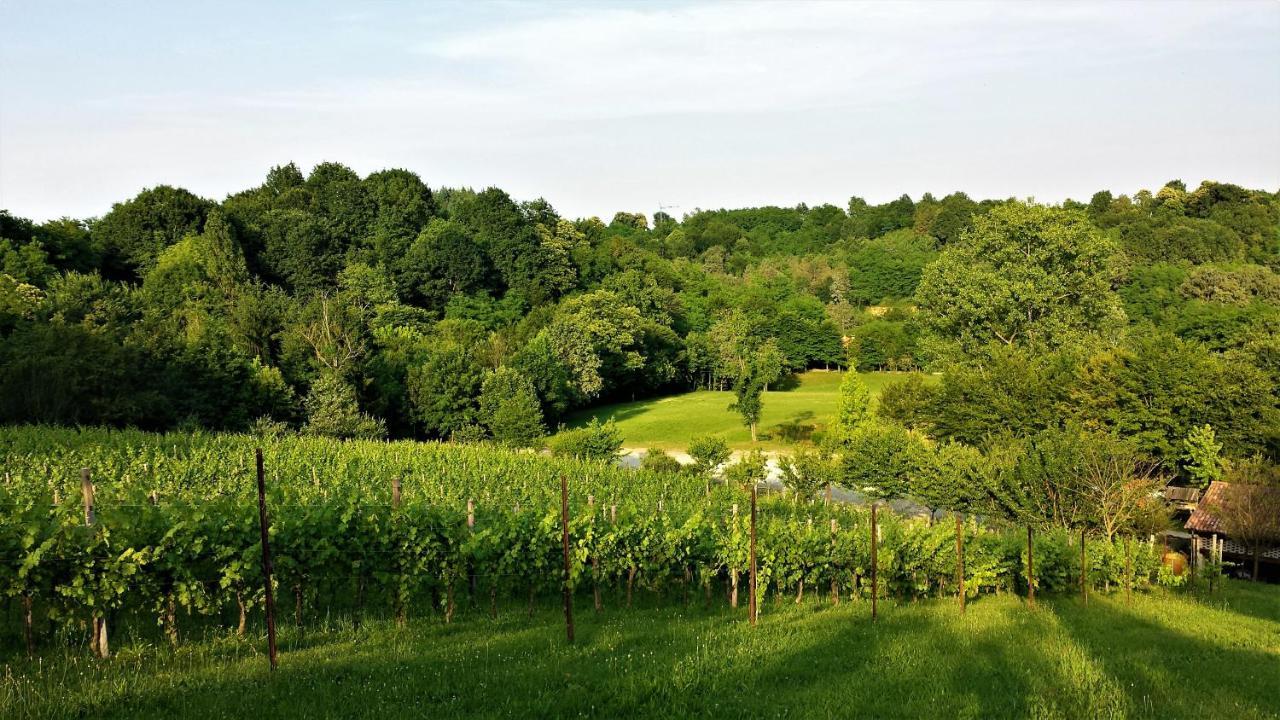 La Valle Nervesa della Battaglia Exteriör bild
