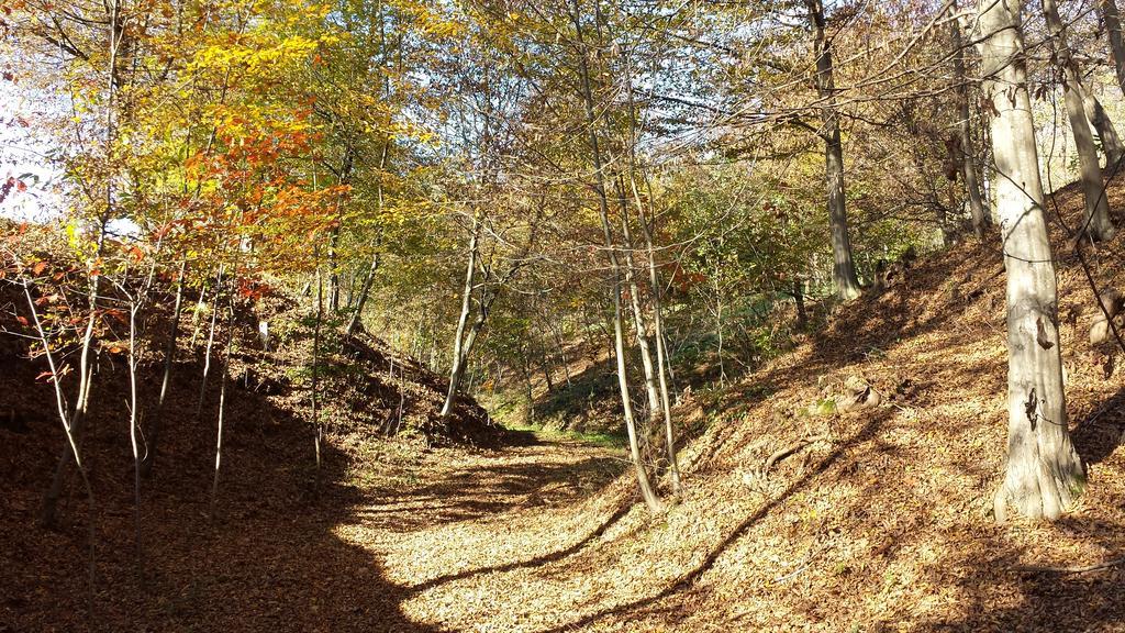 La Valle Nervesa della Battaglia Exteriör bild